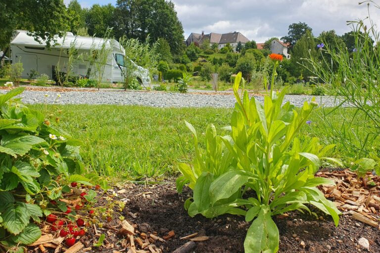 Naturcamp Steinwald - Bild 14 Naturcamp Steinwald - Bild 14