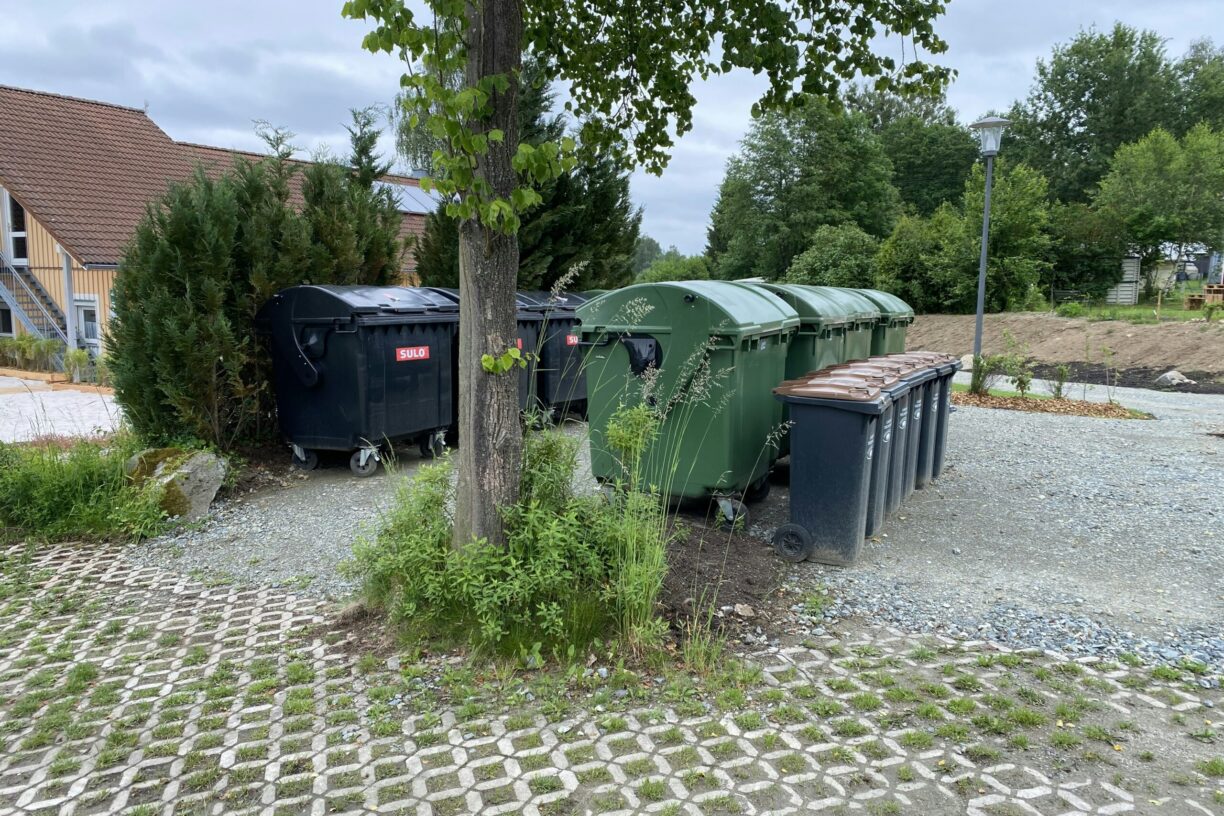 Naturcamp Steinwald - Bild 6 Naturcamp Steinwald - Bild 6