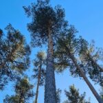 Naturcamping Lagom - Bild 7