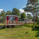 Naturcamping Lüneburger Heide - Bild 2 Naturcamping Lüneburger Heide - Bild 2