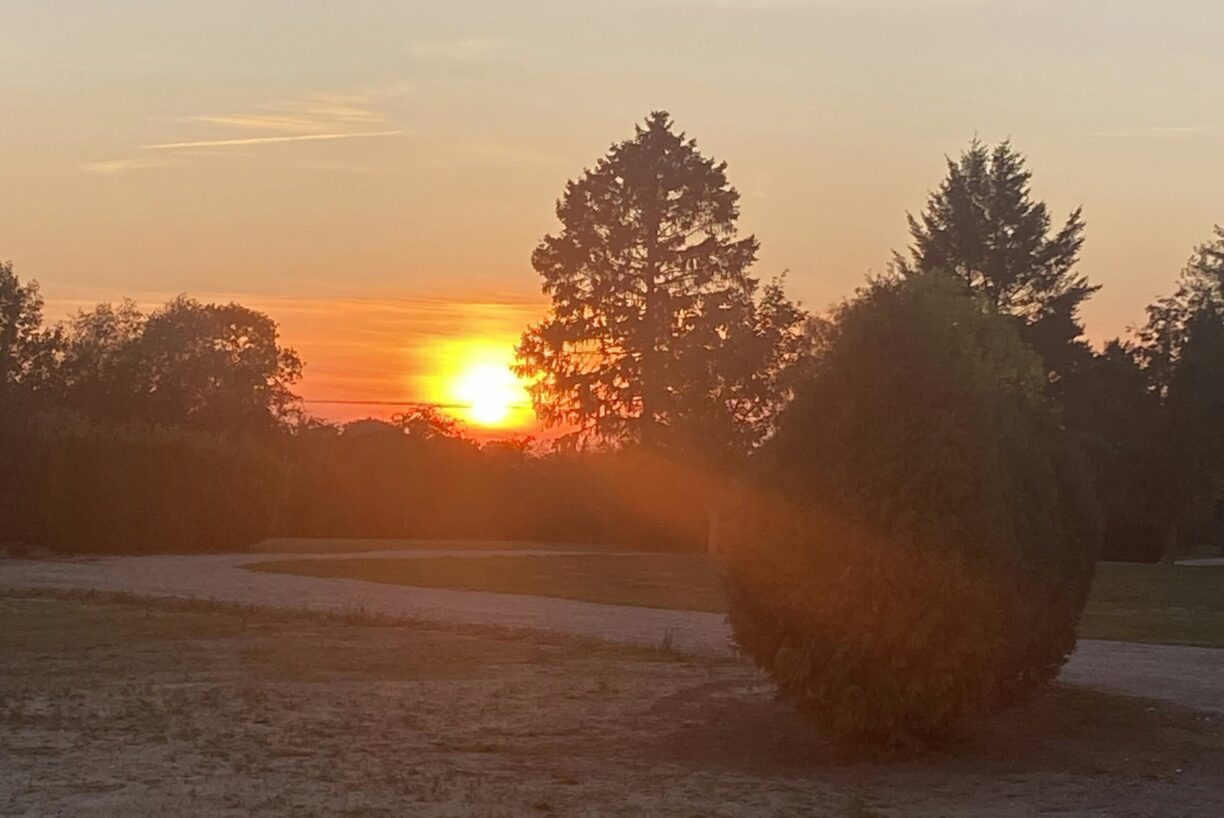 Naturresort Weserinsel - Bild 8 Naturresort Weserinsel - Bild 8