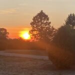 Naturresort Weserinsel - Bild 8 Naturresort Weserinsel - Bild 8