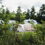 Natuurlijk De Veenhoop - Bild 7