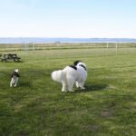 Nibe Camping - Bild 4