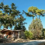 Nicoll's Camp - Camping Des Pins - Bild 8