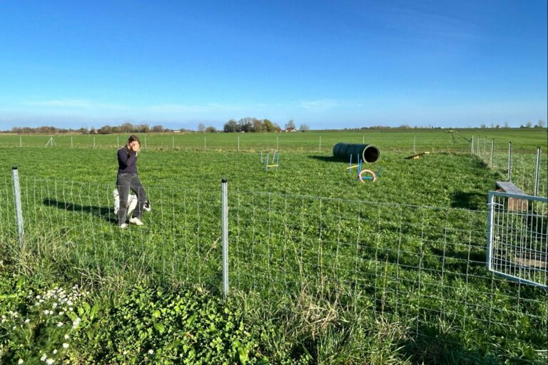 Nordsee Park Hooksiel - Bild 12