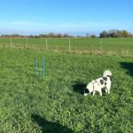 Nordsee Park Hooksiel - Bild 13