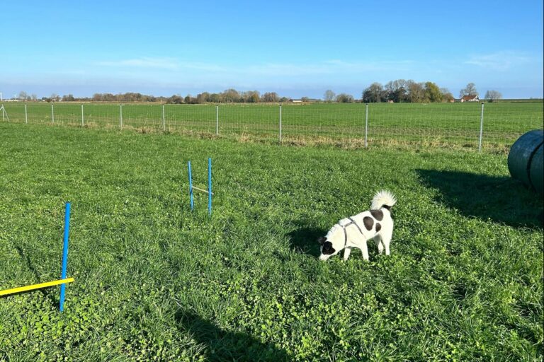 Nordsee Park Hooksiel - Bild 13