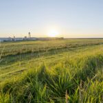 Nordsee-campingplatz Schillig - Bild 5