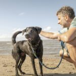 Nordsee-campingplatz Schillig - Bild 7