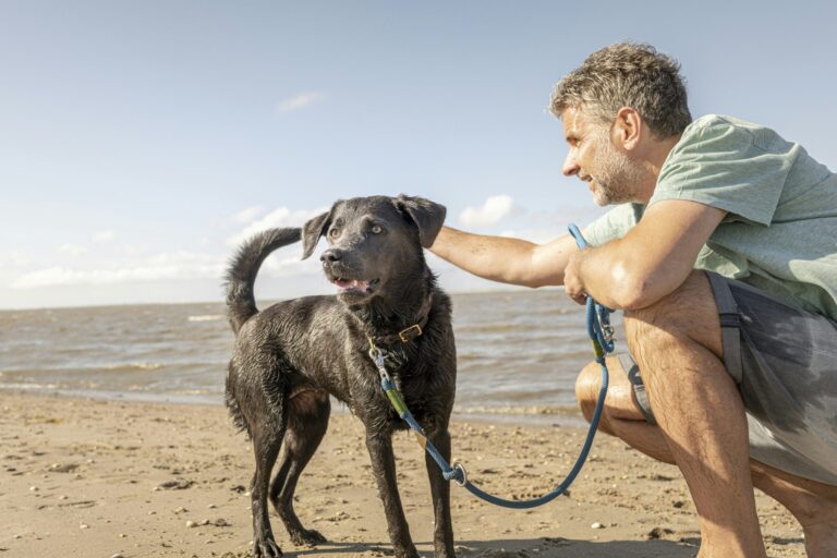 Nordsee-campingplatz Schillig - Bild 7
