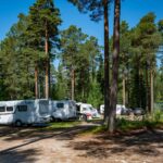 Norra Dellen Familjecamping - Bild 7