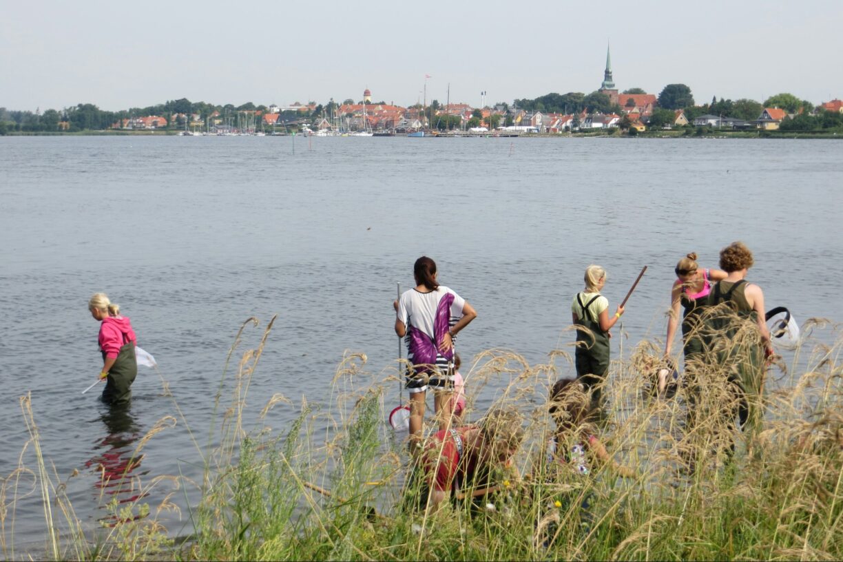 Nysted Strand Camping - Bild 12 Nysted Strand Camping - Bild 12