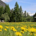 Onlycamp Camping De Tignes - Bild 16