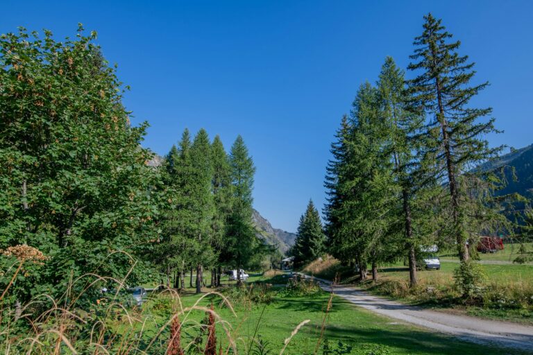 Onlycamp Camping De Tignes - Bild 9