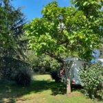 Onlycamp Champ D'été - Bild 10 Onlycamp Champ D'été - Bild 10