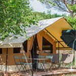 Onlycamp Champ D'été - Bild 11 Onlycamp Champ D'été - Bild 11