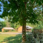 Onlycamp Champ D'été - Bild 5 Onlycamp Champ D'été - Bild 5