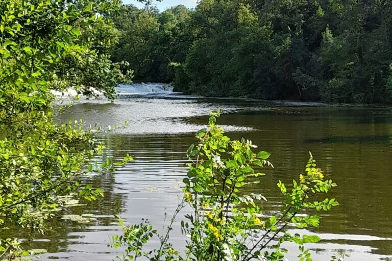 Onlycamp Le Clos Imbert - Bild 6