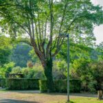 Onlycamp Le Rouergue - Bild 18