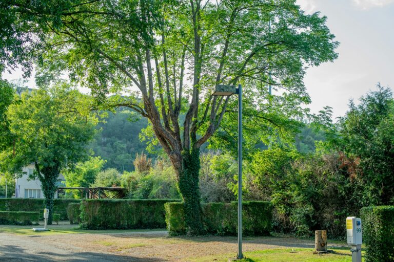 Onlycamp Le Rouergue - Bild 18