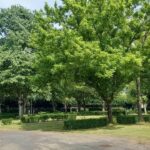 Onlycamp Le Rouergue - Bild 5