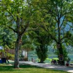 Onlycamp Les Peupliers Du Lac - Bild 7