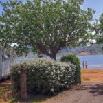 Onlycamp Les Vailhés - Bild 16