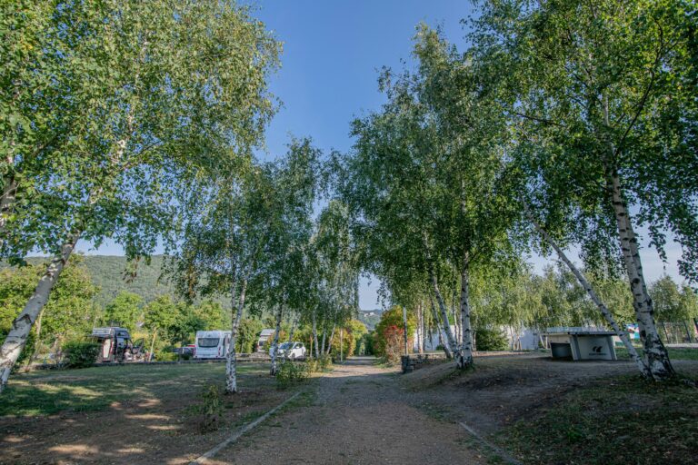 Onlycamp Volvic Pierre Et Sources - Bild 19