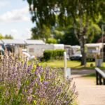 Ostseequelle.camp - Bild 2 Ostseequelle.camp - Bild 2