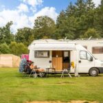 Papillon Bouillon - Bild 2 Papillon Bouillon - Bild 2