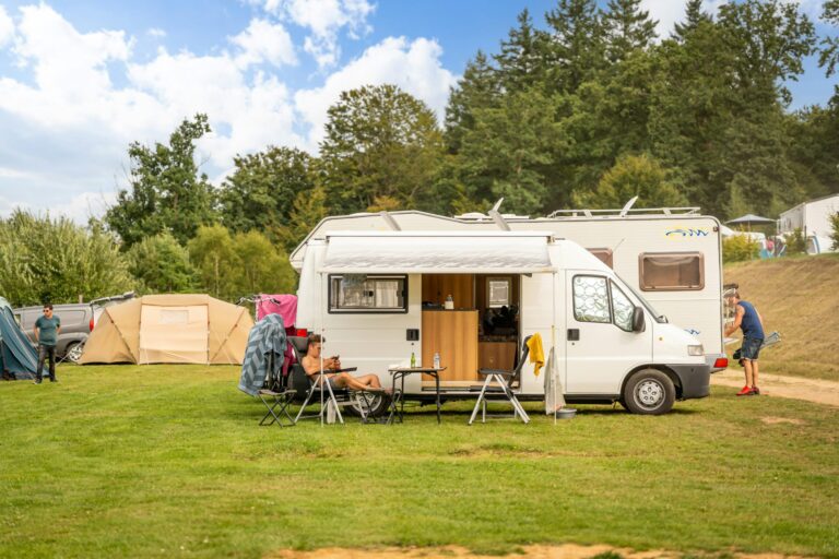 Papillon Bouillon - Bild 2 Papillon Bouillon - Bild 2