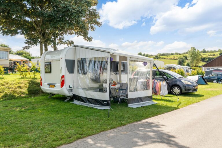 Papillon Bouillon - Bild 3 Papillon Bouillon - Bild 3