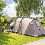 Papillon Bouillon - Bild 4 Papillon Bouillon - Bild 4