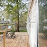 Papillon Kinrooi - Bild 12