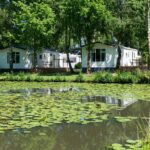 Papillon Kinrooi - Bild 14