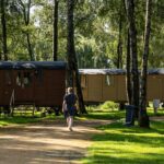 Papillon Kinrooi - Bild 15