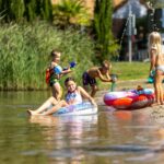 Papillon Kinrooi - Bild 19