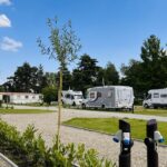 Papillon Kinrooi - Bild 3