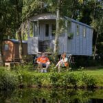 Papillon Kinrooi - Bild 5