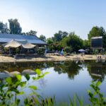 Papillon Kinrooi - Bild 6