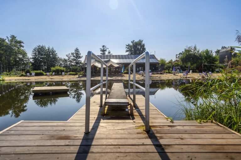 Papillon Kinrooi - Bild 7