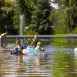 Papillon Kinrooi - Bild 9