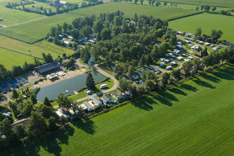 Papillon Kinrooi - Bild 1 Papillon Kinrooi - Bild 1