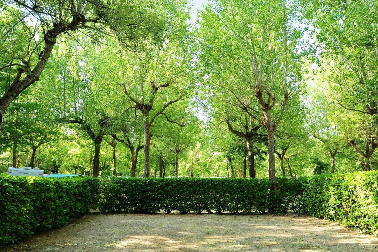 Parco Delle Piscine - Bild 15 Parco Delle Piscine - Bild 15