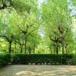 Parco Delle Piscine - Bild 15 Parco Delle Piscine - Bild 15