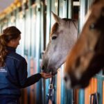 Park Drentheland - Bild 13 Park Drentheland - Bild 13