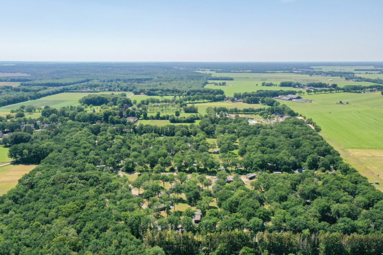 Park Drentheland - Bild 2 Park Drentheland - Bild 2