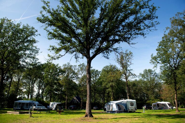 Park Drentheland - Bild 3 Park Drentheland - Bild 3