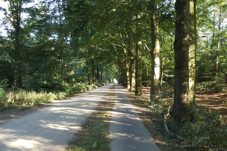 Parkcamping De Graafschap - Bild 12 Parkcamping De Graafschap - Bild 12